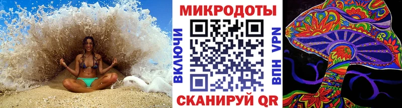 Галлюциногенные грибы Magic Shrooms  блэк спрут зеркало  Котово 